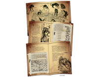 Cryptid Hunt: A Mystery Puzzle Gamebook