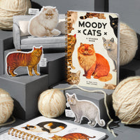 Brass Monkey: Sticker Book - Moody Cats