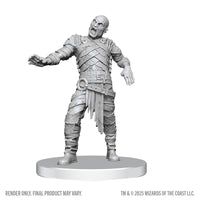 D&D: Nolzur's Marvelous Unpainted Miniatures - Swarm of Rot Grubs and Rot Grub Victim