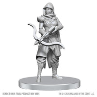 D&D: Nolzur's Marvelous Unpainted Miniatures - Assassin & Berserker