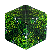 Shashibo: Forest