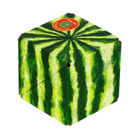 Shashibo: Meow Wolf Series - Hyper Melon