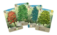 Forest Shuffle