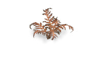 Gamers Grass - Laser Plants - Dry Bracken