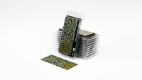Gamers Grass - Laser Plants - Plantain Lily