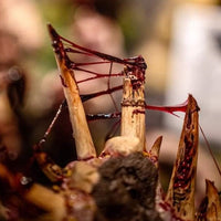 Dirty Down | Basing and Model Effects | Gore