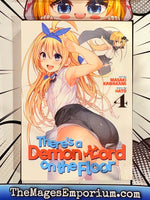 There's a Demon Lord on the Floor Vol 4