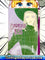 Paradise Kiss Vol 1