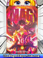 Magi Vol 12