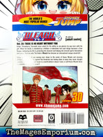 Bleach Vol 30