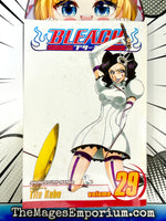 Bleach Vol 29