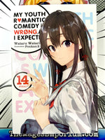 My Youth Romantic Comedy Is Wrong, As I Expected Vol 14 Light Novel