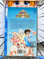 Rave Master Vol 13