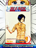 Bleach Vol 4