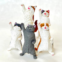 NYAOOO! POWER CATS BLIND BOX (1 Blind Box)