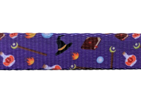 Paw-lymorph Dog Collar: Wizard