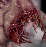 Dirty Down | Basing and Model Effects | Snot