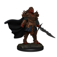 D&D: Nolzur's Marvelous Miniatures - Dragonborn Fighter Female