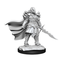 D&D: Nolzur's Marvelous Miniatures - Dragonborn Fighter Female