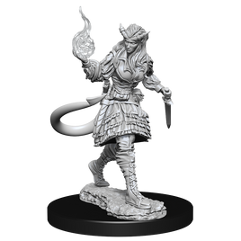 D&D: Nolzur's Marvelous Miniatures - Tiefling Sorcerer Female