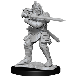 D&D: Nolzur's Marvelous Miniatures - Hobgoblin Fighter Male & Hobgoblin Wizard Female