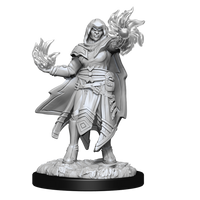 D&D: Nolzur's Marvelous Miniatures - Hobgoblin Fighter Male & Hobgoblin Wizard Female