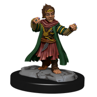 Pathfinder: Deep Cuts - Halfing Monk Male