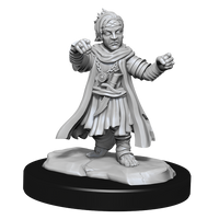 Pathfinder: Deep Cuts - Halfing Monk Male
