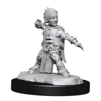 Pathfinder: Deep Cuts - Halfing Monk Male