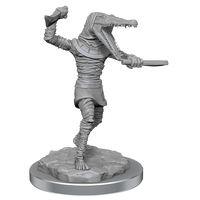 D&D: Nolzur's Marvelous Unpainted Miniatures - Mummies