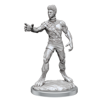 D&D: Nolzur's Marvelous Miniatures - Headless Monster