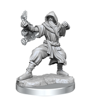 D&D: Frameworks - Human Monk Male
