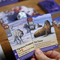 Nature: Module 4 - Artic Tundra