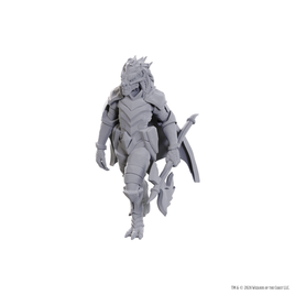 D&D: Nolzur's Marvelous Miniatures - Dragonborn of Tiamat