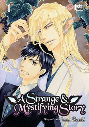 A Strange and Mystifying Story Vol 1 - The Mage's Emporium Sublime 2407 Used English Manga Japanese Style Comic Book