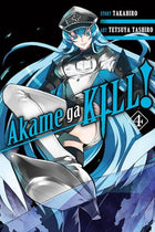 Akame Ga Kill! Vol 4