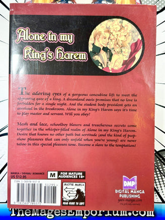 Alone in my King's Harem - The Mage's Emporium DMP 2408 BackInStock Used English Manga Japanese Style Comic Book