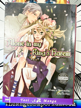 Alone in my King's Harem - The Mage's Emporium DMP 2408 BackInStock Used English Manga Japanese Style Comic Book