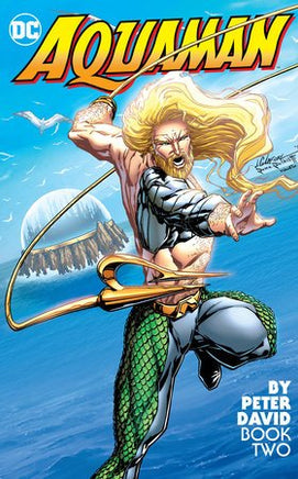 AQUAMAN TP BY PETER DAVID BOOK 02 - The Mage's Emporium The Multiverse Shopify Collective The Multiverse Used English Graphic Novels Japanese Style Comic Book
