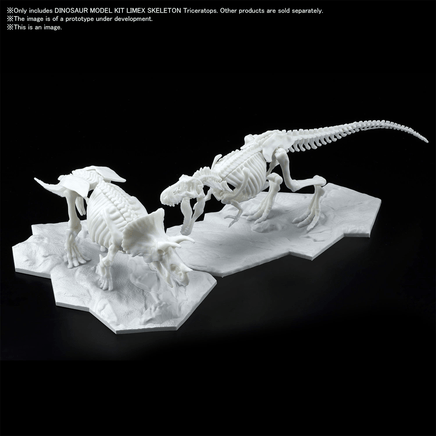 Bandai Spirits: Dinosaur - Triceratops (Limex Skeleton) Model Kit - The Mage's Emporium Shumi Toys & Gifts Shopify Collective Shumi Toys & Gifts Used English Plastic Model Kits Japanese Style Comic Book