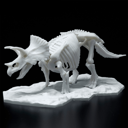 Bandai Spirits: Dinosaur - Triceratops (Limex Skeleton) Model Kit - The Mage's Emporium Shumi Toys & Gifts Shopify Collective Shumi Toys & Gifts Used English Plastic Model Kits Japanese Style Comic Book