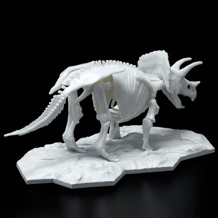 Bandai Spirits: Dinosaur - Triceratops (Limex Skeleton) Model Kit - The Mage's Emporium Shumi Toys & Gifts Shopify Collective Shumi Toys & Gifts Used English Plastic Model Kits Japanese Style Comic Book