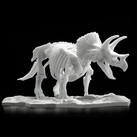 Bandai Spirits: Dinosaur - Triceratops (Limex Skeleton) Model Kit - The Mage's Emporium Shumi Toys & Gifts Shopify Collective Shumi Toys & Gifts Used English Plastic Model Kits Japanese Style Comic Book