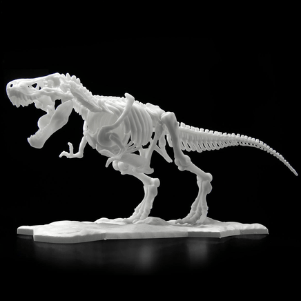 Bandai Spirits: Dinosaur - Tyrannosaurus (Limex Skeleton) Model Kit - The Mage's Emporium Shumi Toys & Gifts Shopify Collective Shumi Toys & Gifts Used English Plastic Model Kits Japanese Style Comic Book