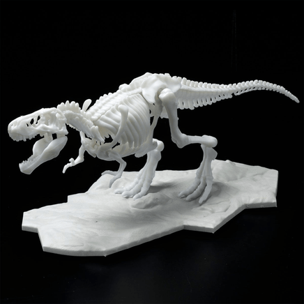 Bandai Spirits: Dinosaur - Tyrannosaurus (Limex Skeleton) Model Kit - The Mage's Emporium Shumi Toys & Gifts Shopify Collective Shumi Toys & Gifts Used English Plastic Model Kits Japanese Style Comic Book