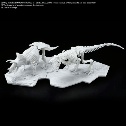 Bandai Spirits: Dinosaur - Tyrannosaurus (Limex Skeleton) Model Kit - The Mage's Emporium Shumi Toys & Gifts Shopify Collective Shumi Toys & Gifts Used English Plastic Model Kits Japanese Style Comic Book