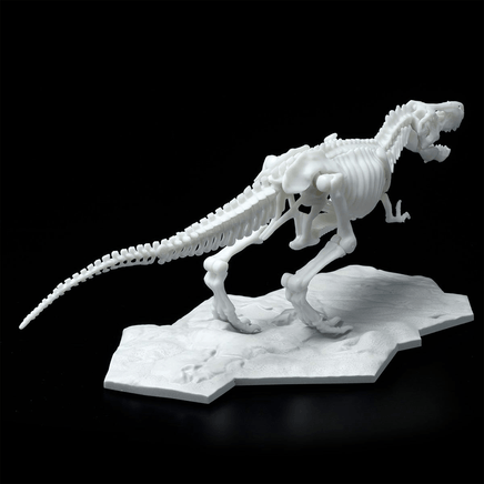 Bandai Spirits: Dinosaur - Tyrannosaurus (Limex Skeleton) Model Kit - The Mage's Emporium Shumi Toys & Gifts Shopify Collective Shumi Toys & Gifts Used English Plastic Model Kits Japanese Style Comic Book