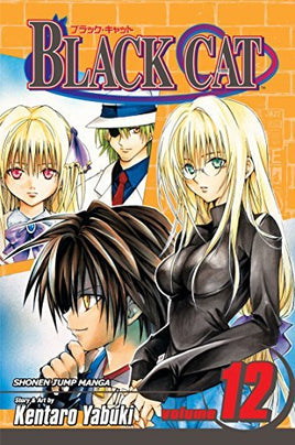 Black Cat Vol 12 - The Mage's Emporium Viz Media 2502 updateage updateauthor Used English Manga Japanese Style Comic Book