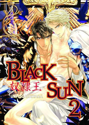 Black Sun Vol 2 - The Mage's Emporium 801 2408 UPDATEMETA Used English Manga Japanese Style Comic Book