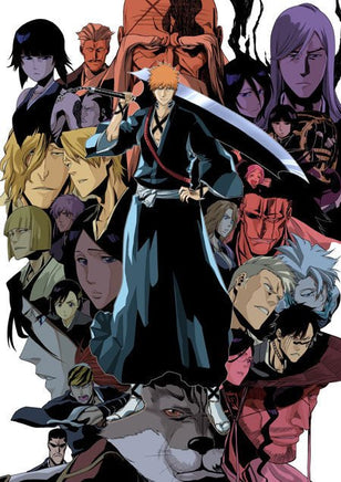 Bleach Wallscroll 328 - The Mage's Emporium Super Anime Store Shopify Collective Super Anime Store Used English Figures Japanese Style Comic Book